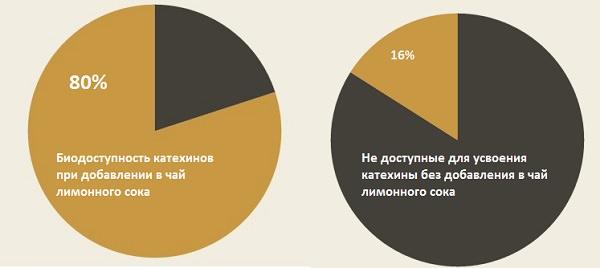 Сравнение биодоступности катехинов из зеленого чая при добавлени лимонного сока и без него