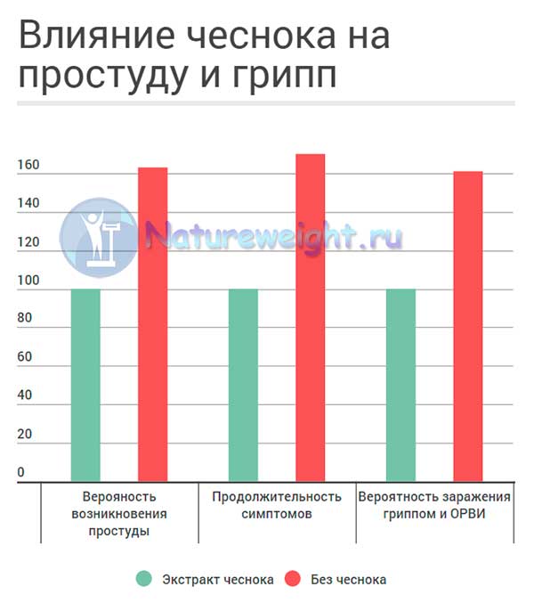 диаграмма влияния чеснока на вероятность заражения гриппом и ОРВИ