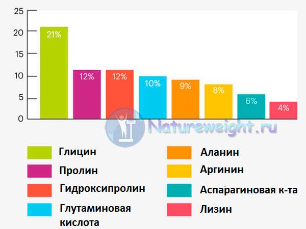 Польза желатина для организма. Может ли он нанести вред?