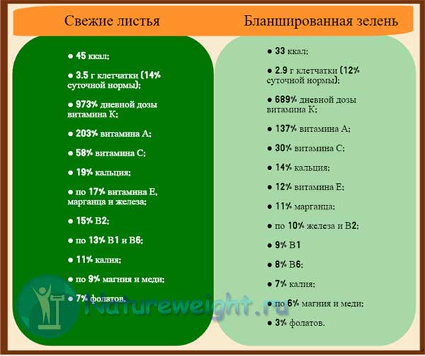 состав зелени Taraxacum officinale 