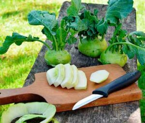 Полезные свойства кольраби, как приготовить капусту и вкусно и полезно