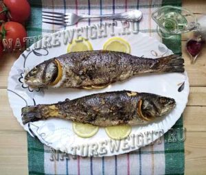 Сибас запеченный в духовке: удачные рецепты в фольге, соли, овощах