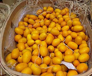 корзина с кумкватами